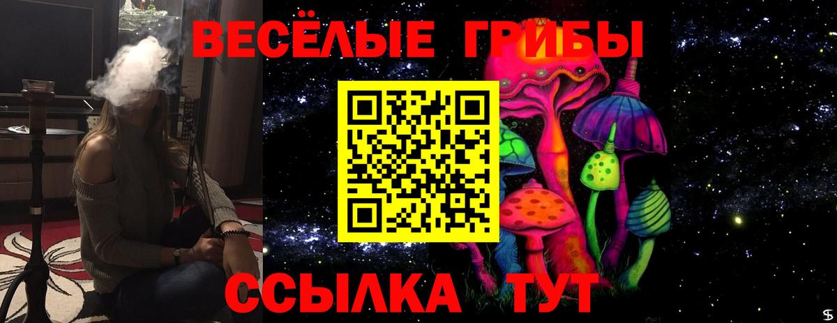 Анапа  закладка  Вход с VPN  Псилоцибиновые грибы MAGIC MUSHROOMS  Галлюциногенные грибы Magic Shrooms 